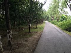 -昆山城市生态森林公园