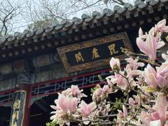 -潭柘寺景区