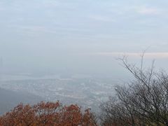 -紫金山山顶公园