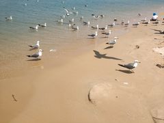 -海驴岛(荣成市)