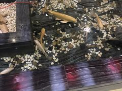 -天沐温泉(抚顺店)