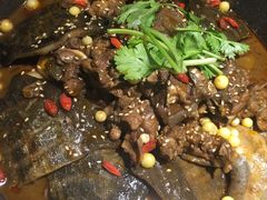 -甲大帅·甲鱼·椰子鸡主题餐厅(唐家店)
