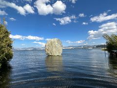 -洱海月湿地公园