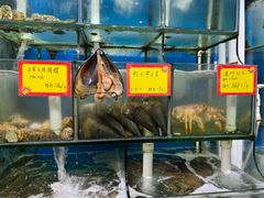 -蚝专家(北滘店)