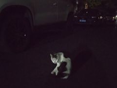 -上海颛桥万达广场