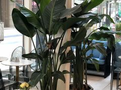 -PAUL LAFAYET 法式甜品(港汇广场店)