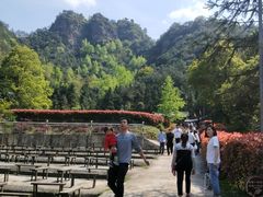 -浏阳石牛寨风景区