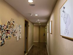 -海豚湾高端月子会所(黄浦店)