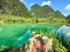 -靖西鹅泉风景区