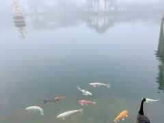-深圳东部华侨城茵特拉根酒店