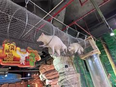-正佳雨林生态植物园