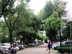 -中央公园(苏州工业园区)