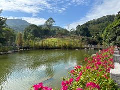 -广州市帽峰山景区