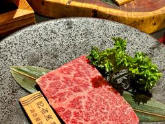 -火浪壹 by tigergrill(33小镇店)