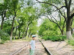 -永定河休闲森林公园