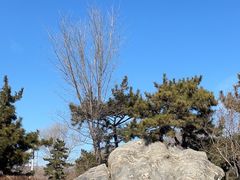-蓬莱阁景区