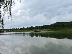 -羊山湖公园