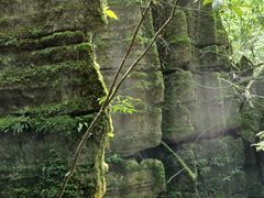 -梭布垭石林景区