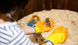 -宝燕乐园(闵行旗舰店)