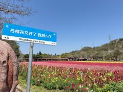 -丹樱生态园