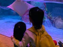 -沈阳海洋探索中心