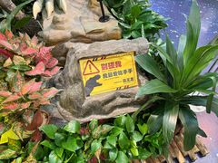 -正佳雨林生态植物园