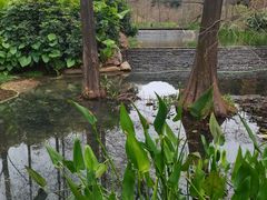 -云溪植物园