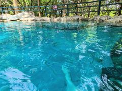 -湖泉半山温泉(湖泉生态园)