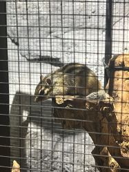 -Zoolung Zoolung动物主题公园(海信广场店)