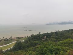 -野狸岛