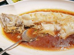 -金狮麟·新豫菜(金码大厦店)