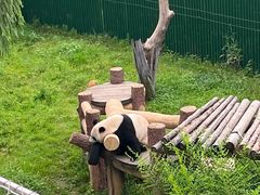 -沈阳森林动物园
