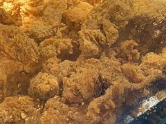 -味味香(团结湖店)