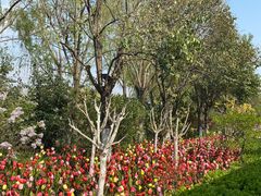 -济南方特东方神画