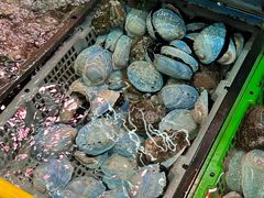 -老字号蛇口德记烧腊饭店·海鲜加工