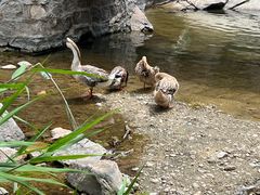 -黑龙潭风景区