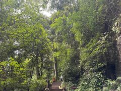 -青城山