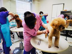-北京观赏动物医院·24小时大型综合·猫专科·异宠专科