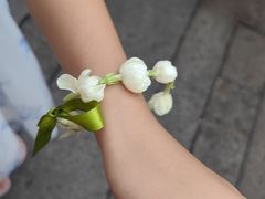 -山塘街