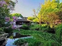 -上海醉白池公园
