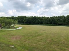 -宜兴龙背山森林公园
