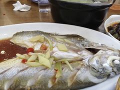 -老马家·舌尖上的西塘美食