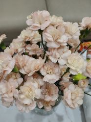 点击看大图 -丝域养发馆