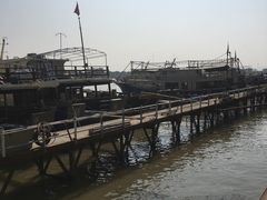 -大湾区中央湿地公园-十九涌
