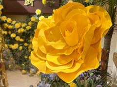 -金厨泰国餐厅·全泰籍厨师料理(拱北店)