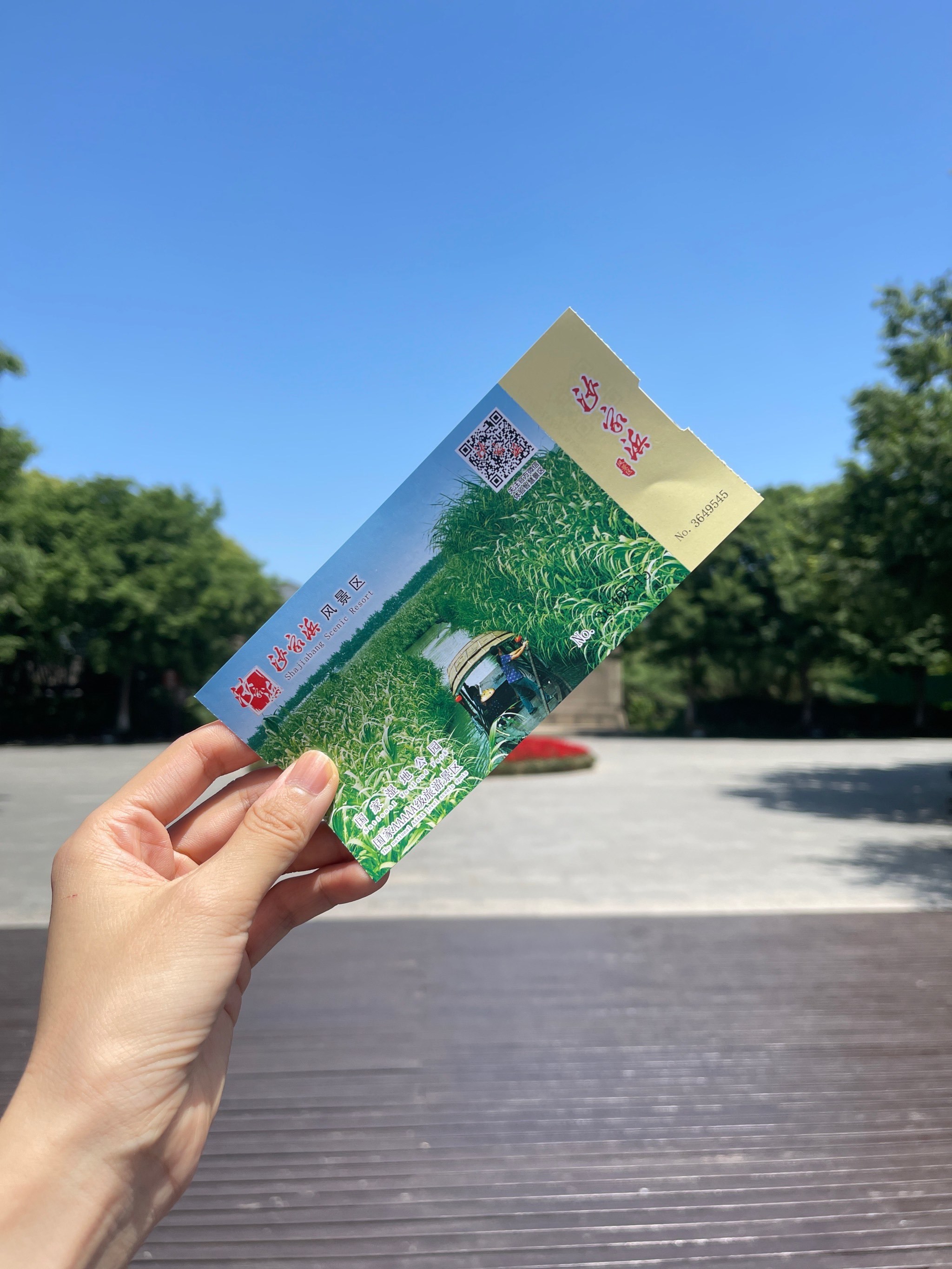 沙家浜湿地公园❗️这个地方环境也太好了吧