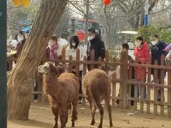 -西安秦岭野生动物园