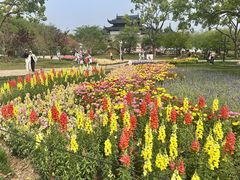 -苏州上方山国家森林公园