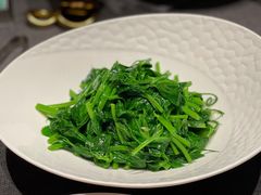 豌豆苗-滋色臻选川菜(北京坊旗舰店)