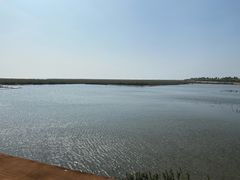 -北海金海湾红树林生态旅游区